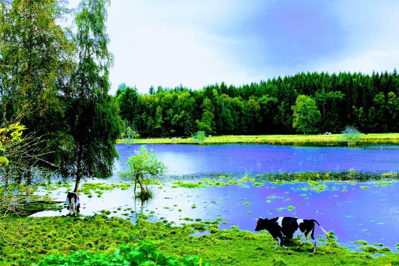 Affaeren Ma Bra Bed and Breakfast Sunne Eksteriør billede