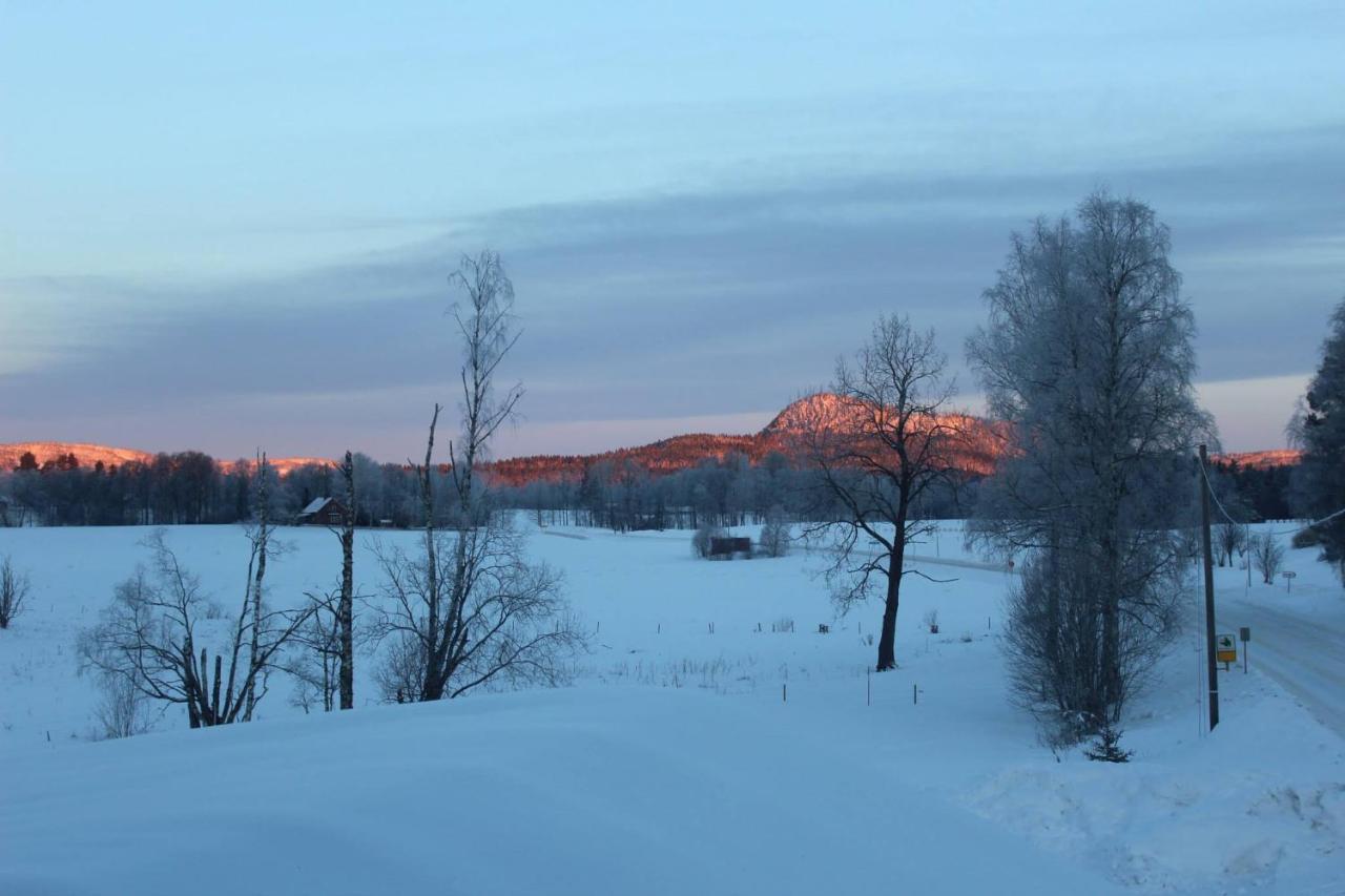 Affaeren Ma Bra Bed and Breakfast Sunne Eksteriør billede